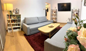 Cosy Apart Busteni Buşteni
